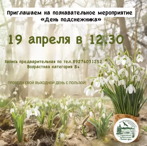 В заказнике «Чистые луга» отметят День подснежника мастер-классом и виртуальным туром по лесу