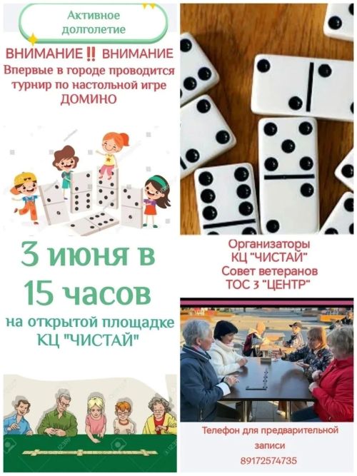В Чистополе впервые пройдет турнир по домино