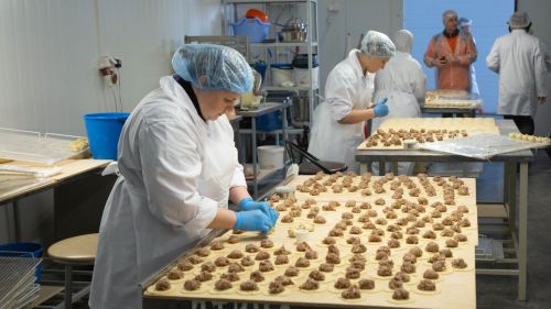Наука как язык доверия: продолжается приём заявок на IV Молодёжный научный конгресс стран ОИС в Казани