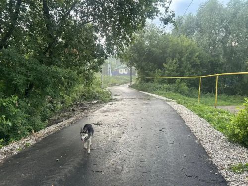 В Чистополе продолжают устранять последствия стихии