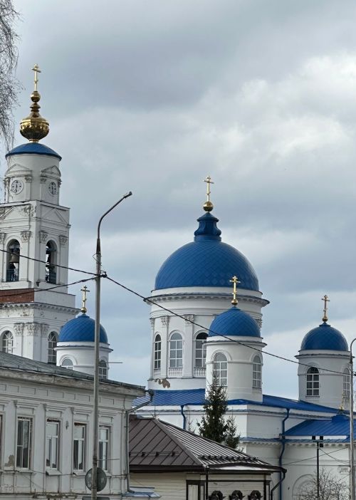 Обращение общественности Чистопольского района, некоммерческой общественной молодежной организации «Авангард-Чистополь» и прихожан храмов г. Чистополя по случаю перевода епископа Пахомия в другую епархию
