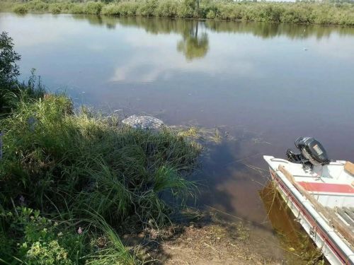 В Елабужском районе спасатели достали из Вятки тело утонувшего мужчины