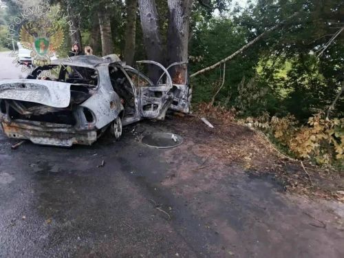 Смертельное ДТП в Татарстане: 6 подростков погибли при столкновении Chevrolet с деревом