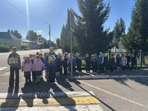Акцию «Пешеходный переход» провели в Чистополе