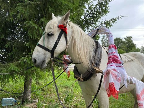 Обряд сбора полотенец к Сабантую