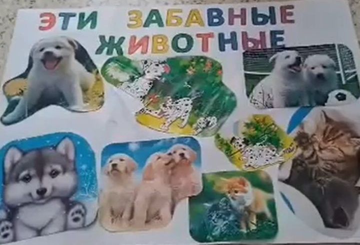 Для подопечных дома-интерната прошло экологическое мероприятие «Эти забавные животные»