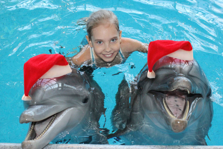 Не пропустите! Новогодние шоу-программы в Набережночелнинском дельфинарии!