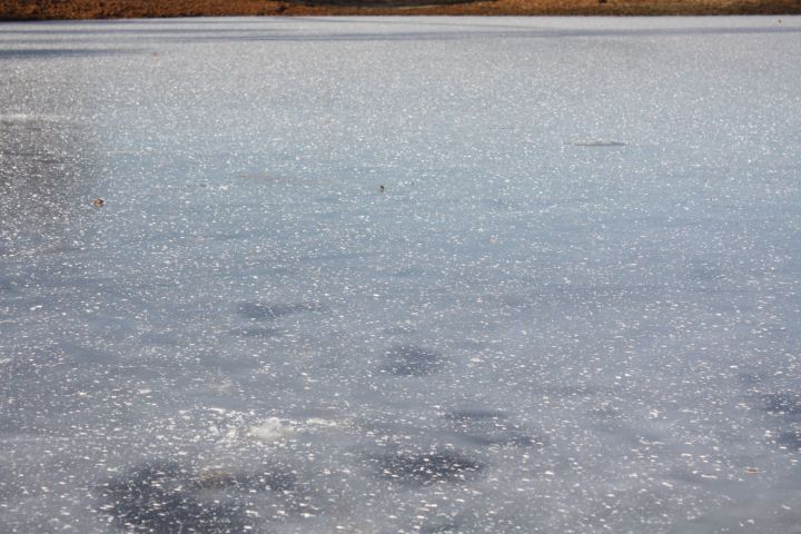 Какова толщина льда на чистопольских водоемах