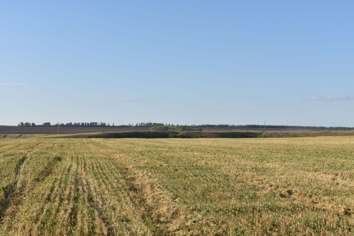В Чистопольский район зашел новый инвестор, который займется агропроизводством