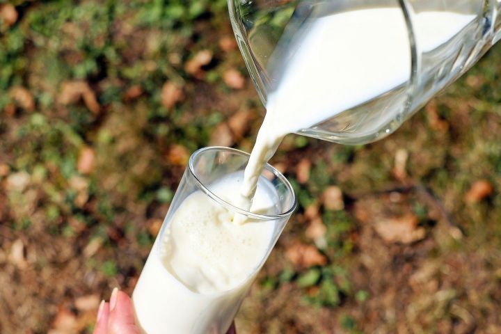 РТ лидирует по производству молока