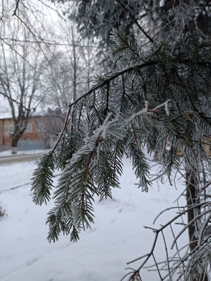 В Чистопольском районе ожидается до 29 градусов мороза
