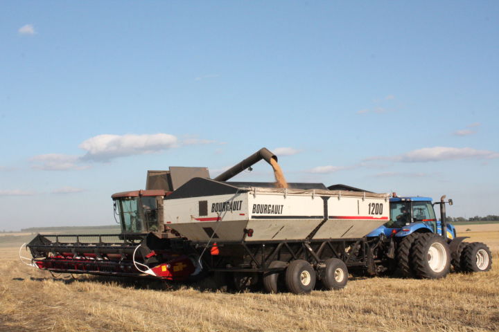 В Татарстане собрали четвертый миллион тонн зерна