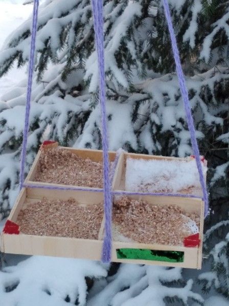 Дети из чистопольского села смастерили кормушки для птиц
