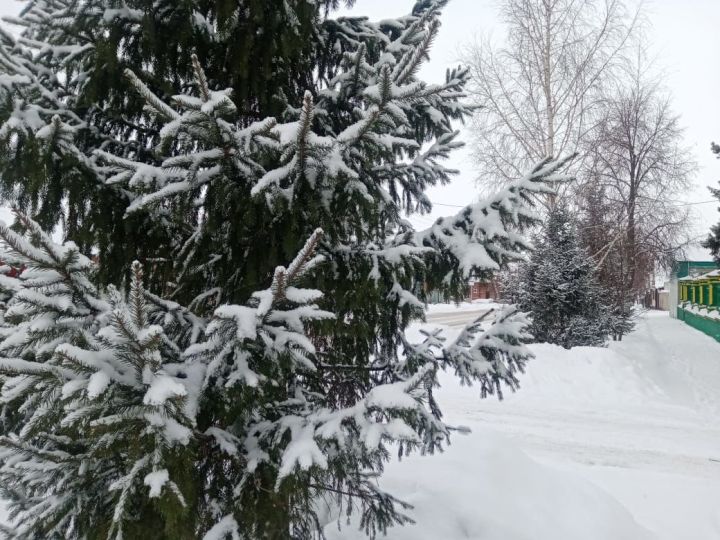 8 января в Чистополе ожидается снег