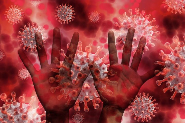 В 6 районах Татарстана зарегистрированы новые случаи коронавируса