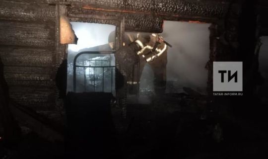 На пожаре в бревенчатом  доме в Татарстане  погиб пенсионер