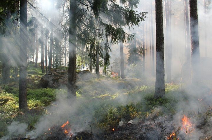 В татарстанских лесах объявлен  максимальный класс пожарной опасности