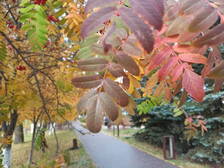 Чистополь в осенних красках (фоторепортаж)