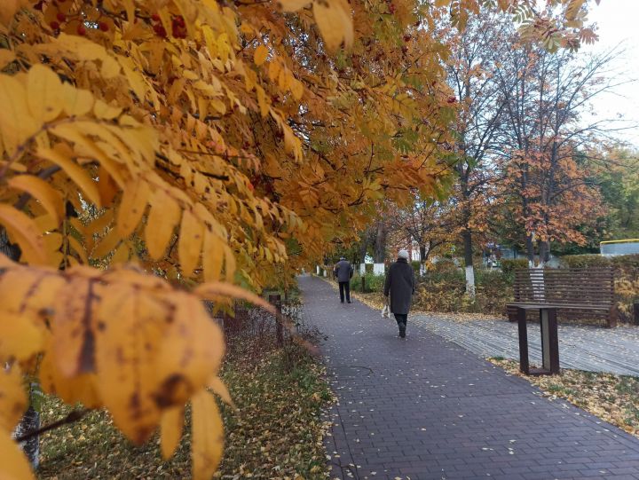 Чистополь в осенних красках (фоторепортаж)