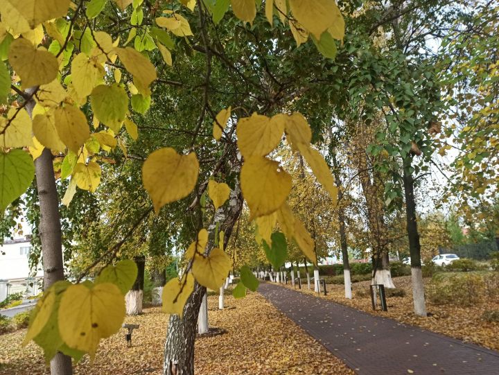 Чистополь в осенних красках (фоторепортаж)