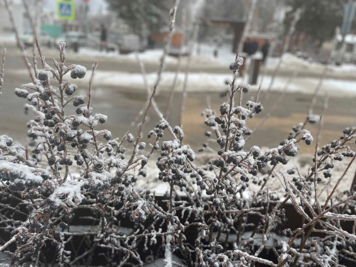 1 декабря: Чем знаменателен день