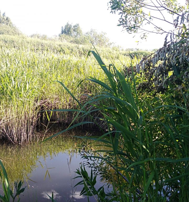 Чистопольскому водоканалу придется заплатить почти 8 млн за слив грязных стоков в речку Килевка