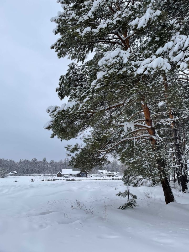 23 февраля: Чем знаменателен день