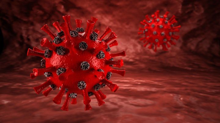 Еще 4 чистопольца заразились коронавирусом