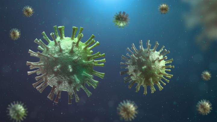 За сутки в РТ коронавирус подтвердился у 245 человек