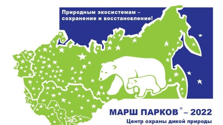 В рамках Международной акции «Марш парков-2022» для юных чистопольцев объявлен конкурс рисунков