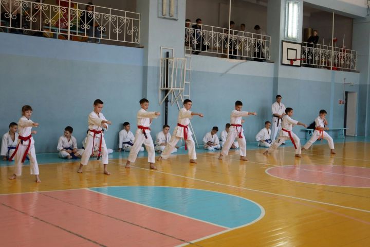В Чистополе прошел аттестационный экзамен на цветные пояса по киокусинкай карате