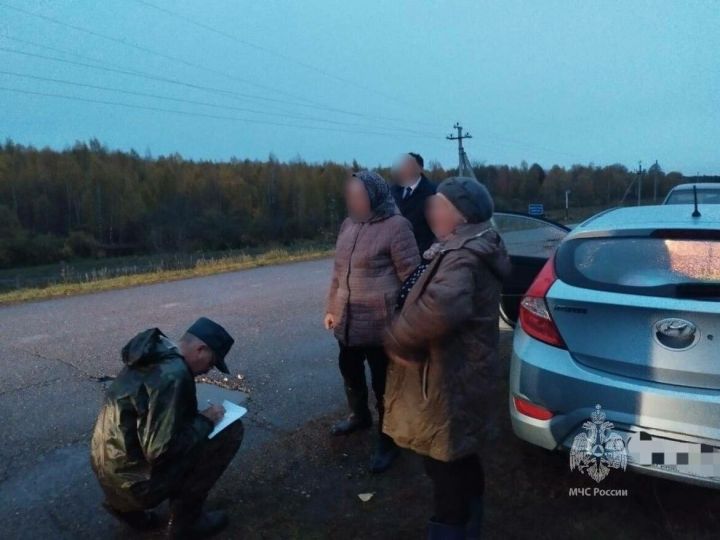 Трех заблудившихся в лесу грибников спасатели нашли в Нурлатском районе