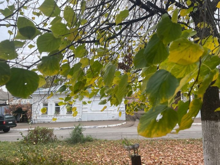 К концу недели в Татарстане ожидается до 12 градусов тепла