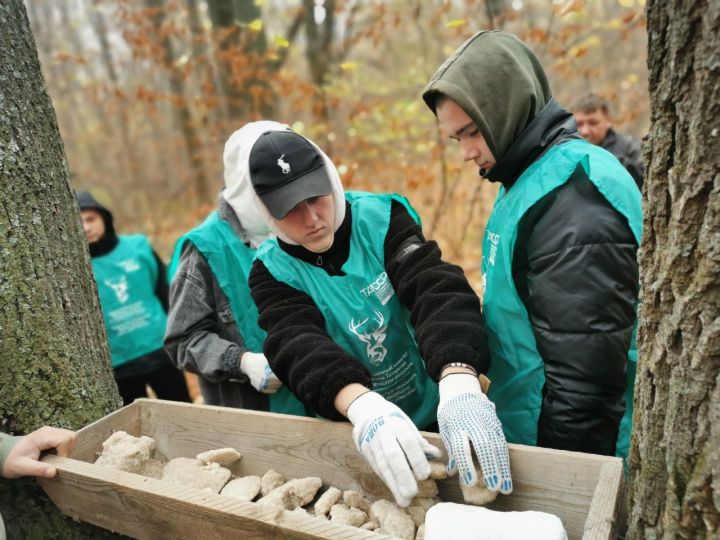 Чистопольские школьники открыли в лесу «столовую» для животных