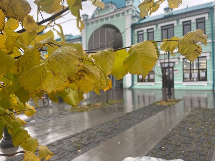 Дождь и сильный ветер ожидается в Чистополе