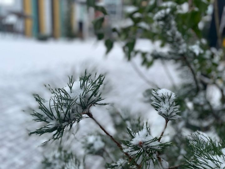 Погода в татарстане в декабре 2023. Февраль метель фото природа.