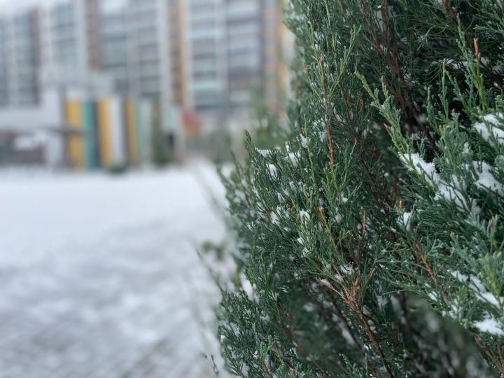 Предстоящая зима в Татарстане может быть короткой