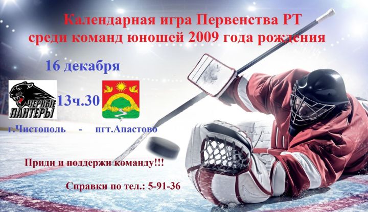 В чистопольском ледовом дворце пройдет Первенство РТ по хоккею