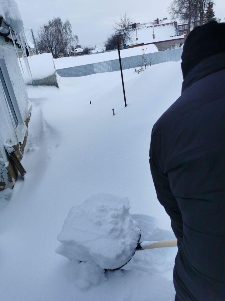 В Чистополе сотрудники Госкомитета РТ по биоресурсам очистили от снега двор одинокой пенсионерки