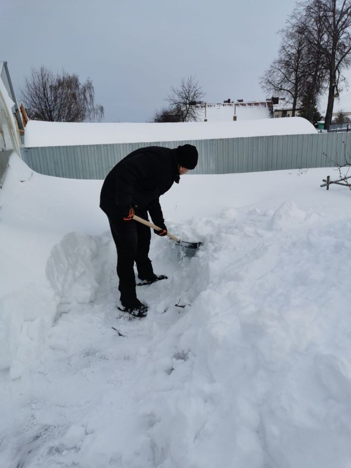 В Чистополе сотрудники Госкомитета РТ по биоресурсам очистили от снега двор одинокой пенсионерки