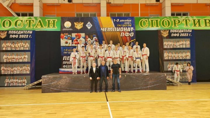 Чистопольские спортсмены вернулись с победой с Чемпионата ПФО по рукопашному бою
