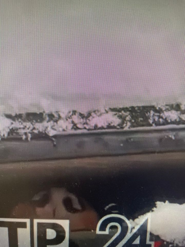 Житель Нижнекамска снял на видео запертую в автомобиле собаку