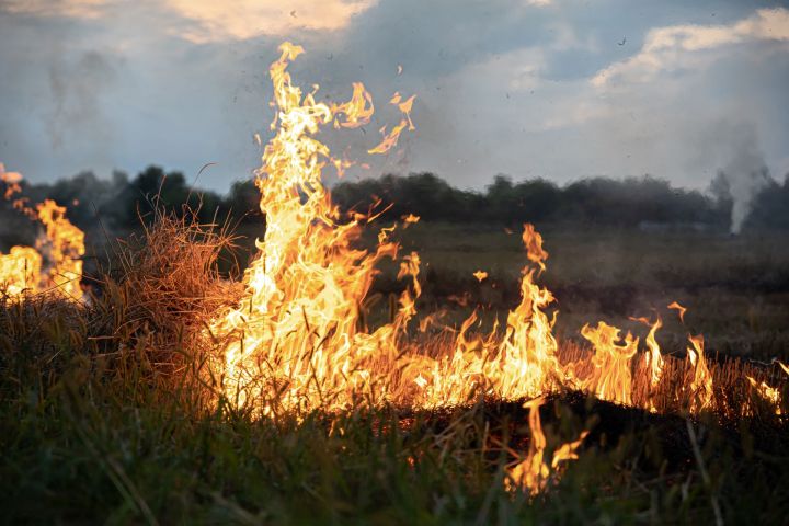С 25 апреля в Татарстане стартует особый противопожарный режим