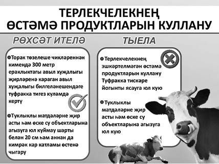 Терлекчеләрне гаделсез штрафлардан коткару өчен