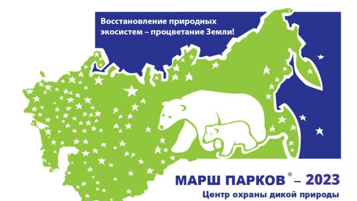 В рамках Международной акции «Марш парков-2023» для юных чистопольцев объявлен конкурс рисунков
