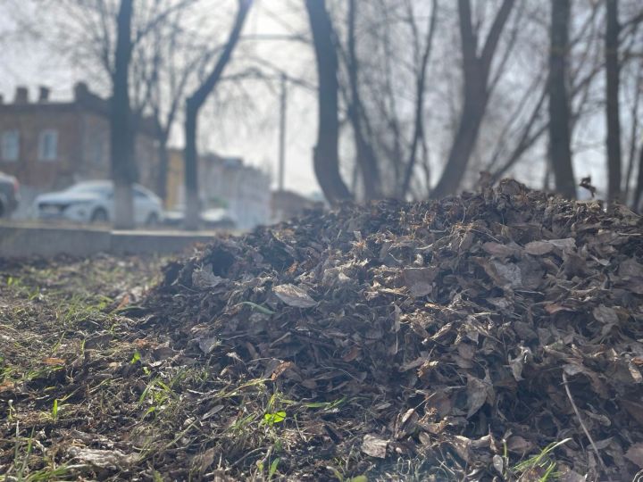 С начала 2023 года в РТ произошло 370 пожаров из-за сжигания сухой травы и мусора