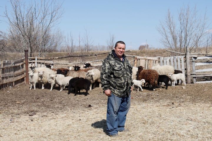 Как живет фермер Анатолий Евдокимов из Чистопольского района