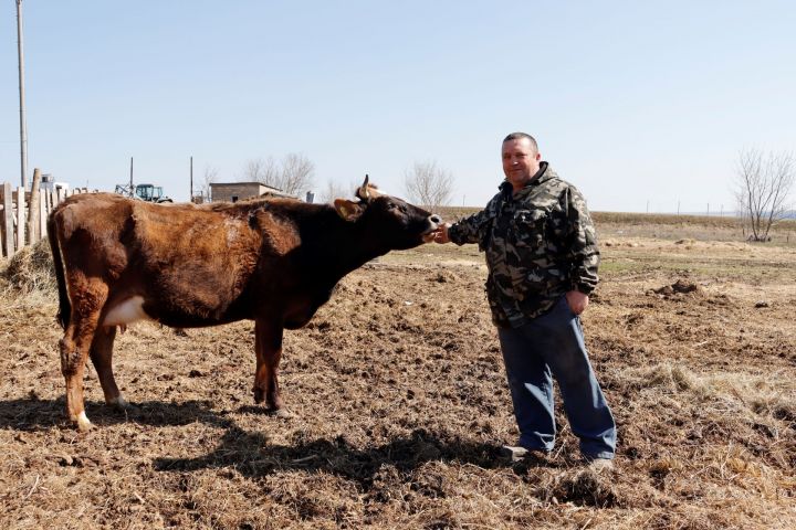 Как живет фермер Анатолий Евдокимов из Чистопольского района