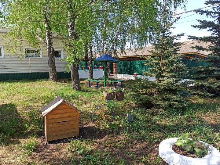 «Сарсаз - Агротур»: в Чистопольском районе открылся контактный зоопарк (фоторепортаж)