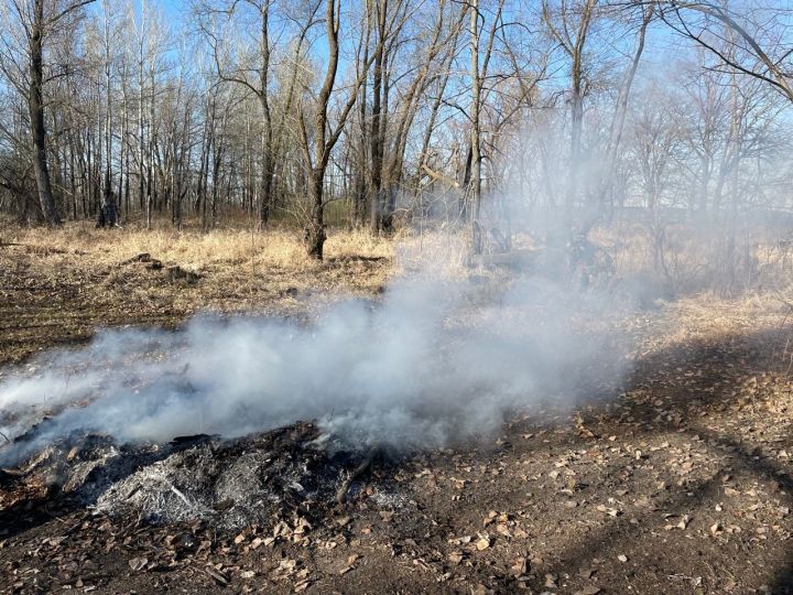В Татарстане продлен период пожарной опасности